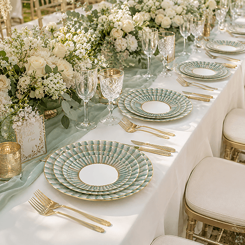 dusky white n bright dinner plates